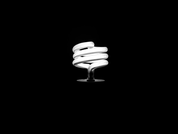 Fluorescent light bulb - Photo, Image