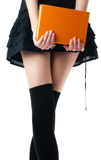 Woman in skirt and stockings with book - Foto, afbeelding