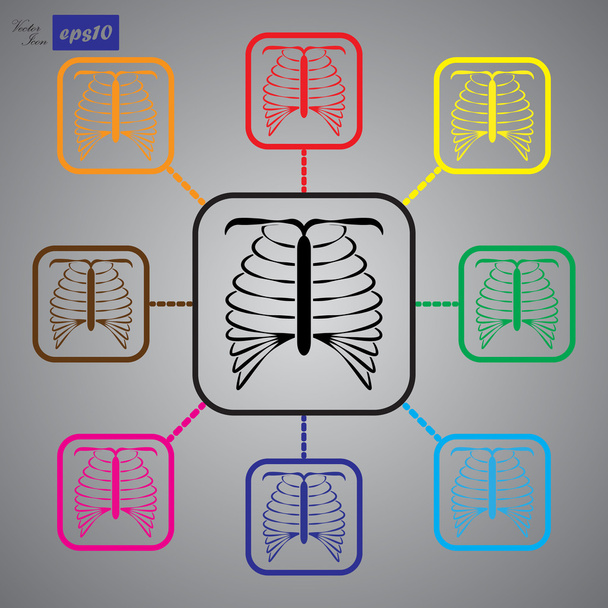 human chest icon - Vector, Image
