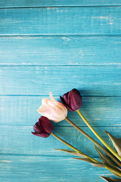 Black tulips on the table. - Foto, Imagem