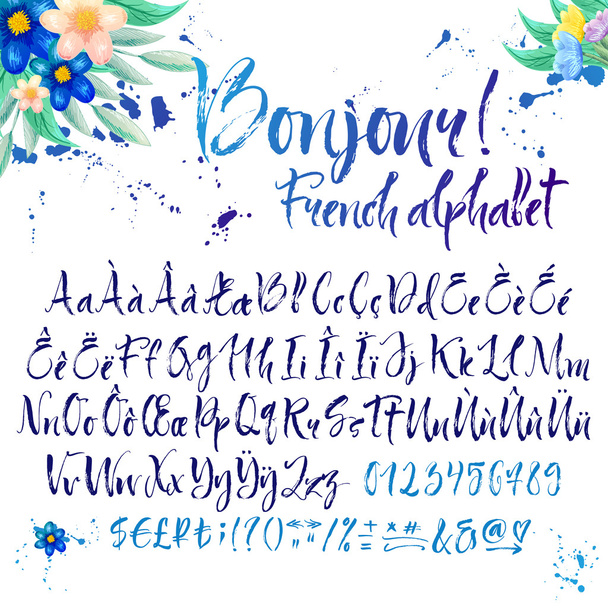 Calligraphic french alphabet with decorations - Vector, afbeelding