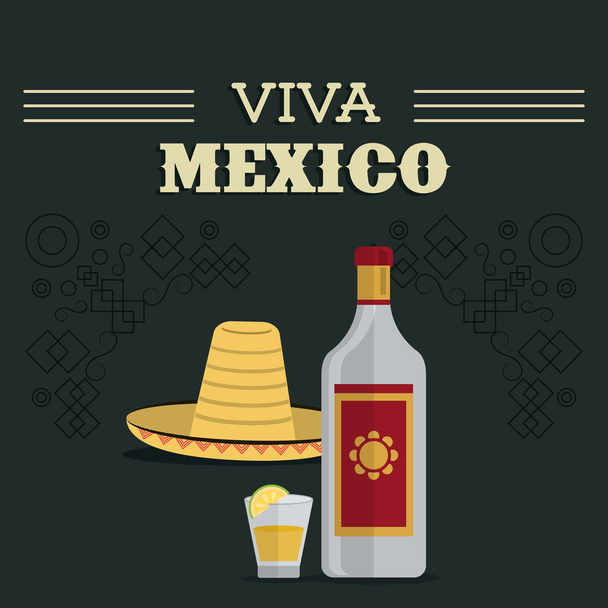 Tequila üveg és lövés ikonra. Mexikó kultúra. Vektorgrafikus - Vektor, kép