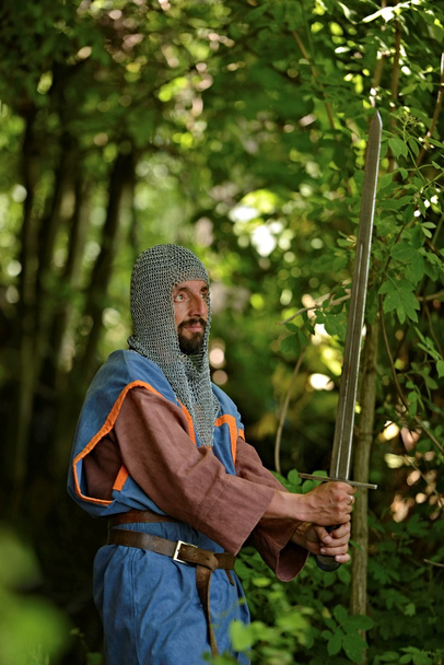 Kılıçlı ortaçağ şövalyesi - Fotoğraf, Görsel