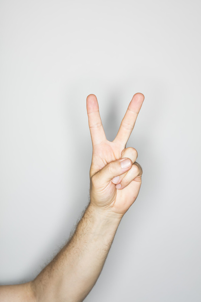 isolated hand gesture in the studio - Фото, зображення