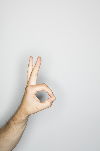 isolated hand gesture in the studio - Фото, зображення