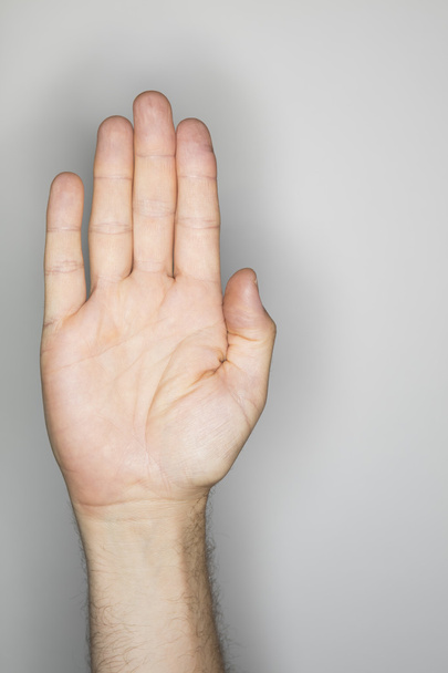 isolated hand gesture of a white man - 写真・画像