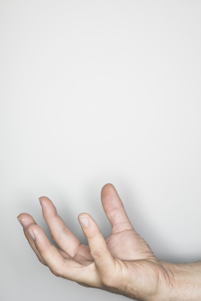 izolované rukou gesto - Fotografie, Obrázek