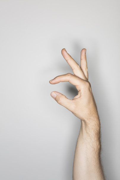 hand gesture of a caucasian man - Foto, imagen