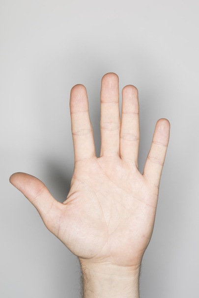gesto rukou kavkazské muži - Fotografie, Obrázek