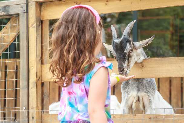 открытый портрет молодой счастливой молодой девушки, кормящей козу на ферме
 - Фото, изображение