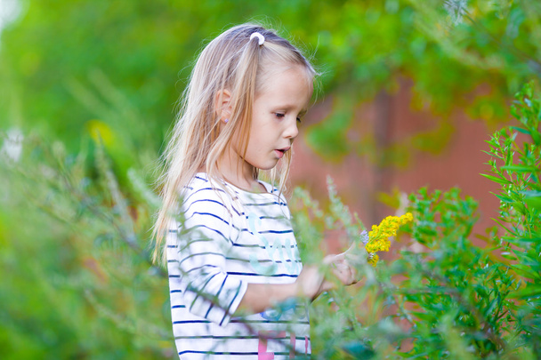Urocza dziewczynka w lato park na zewnątrz. Słodkie dziecko zbierające kwiaty w gęstych zaroślach traw - Zdjęcie, obraz