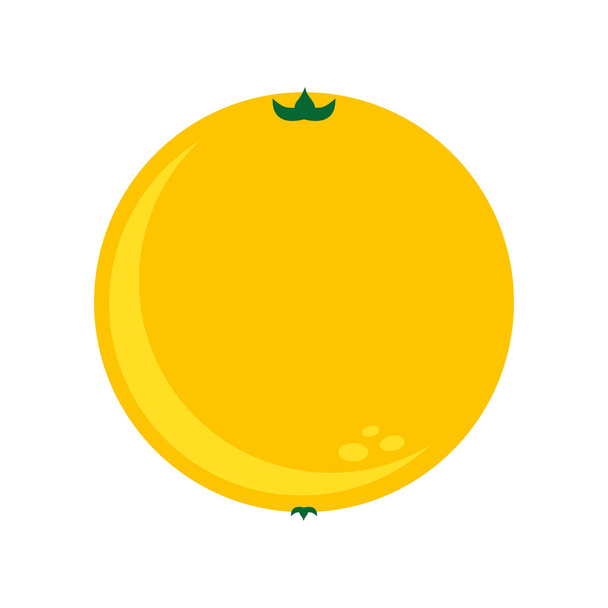 柑橘系の果物は、アイコンのデザインを分離しました。 - ベクター画像
