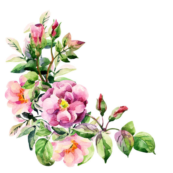 Tarjeta de flores de abeto acuarela
 - Foto, imagen