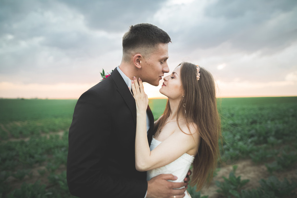Beautiful couple in field, Lovers or newlywed posing on sunset with perfect sky - Fotografie, Obrázek