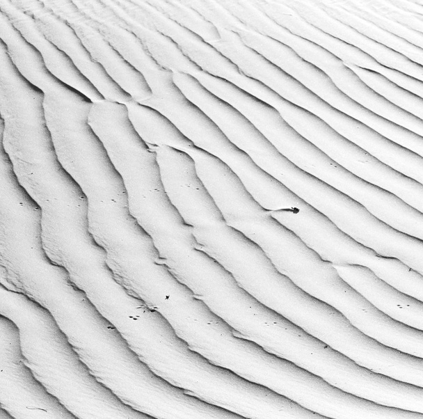 en oman el desierto viejo y el cuarto vacío textura abstracta li
 - Foto, Imagen