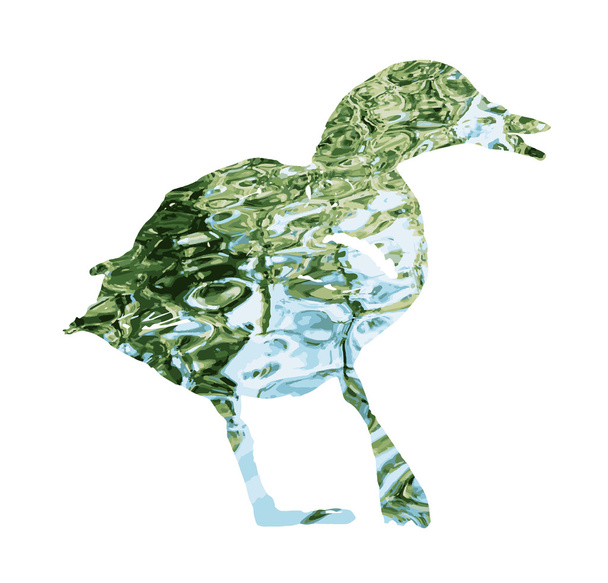 Σκιαγραφία από άγρια mallard πάπια γεμάτο με επιφάνεια κυματισμένη καθορισμός νερού - Διάνυσμα, εικόνα