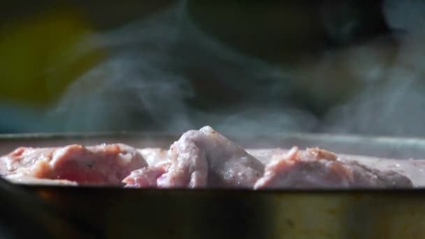 Mięso smażyć na patelni - Materiał filmowy, wideo