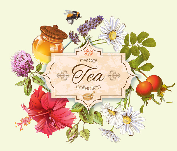 Herbal tea banner - Vektor, kép