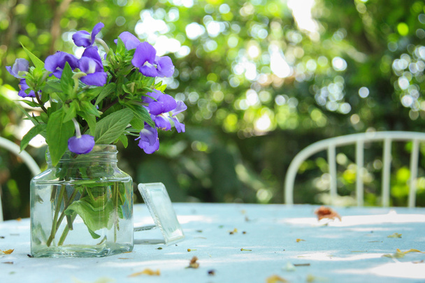 Fleurs violettes sur table en bois blanc
 - Photo, image