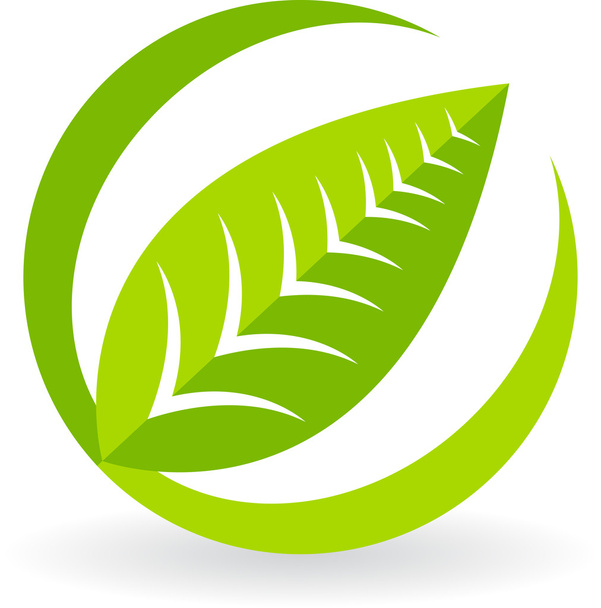 Leaf logo - Vektör, Görsel