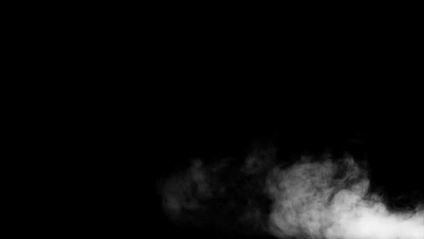Kouř požáru zdola nahoru černém pozadí - Záběry, video