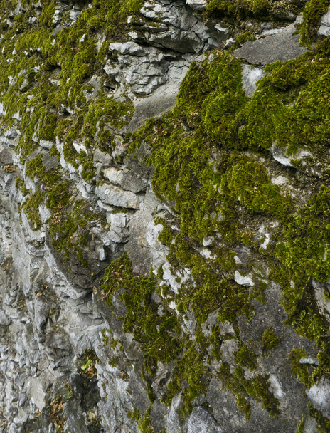 háttér textúra a kőfal. járda - Fotó, kép
