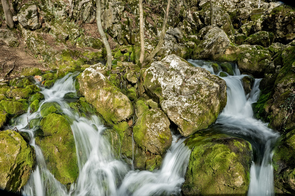 Источник реки, которая заставляет водопады над скалами покрыты остроумием
 - Фото, изображение