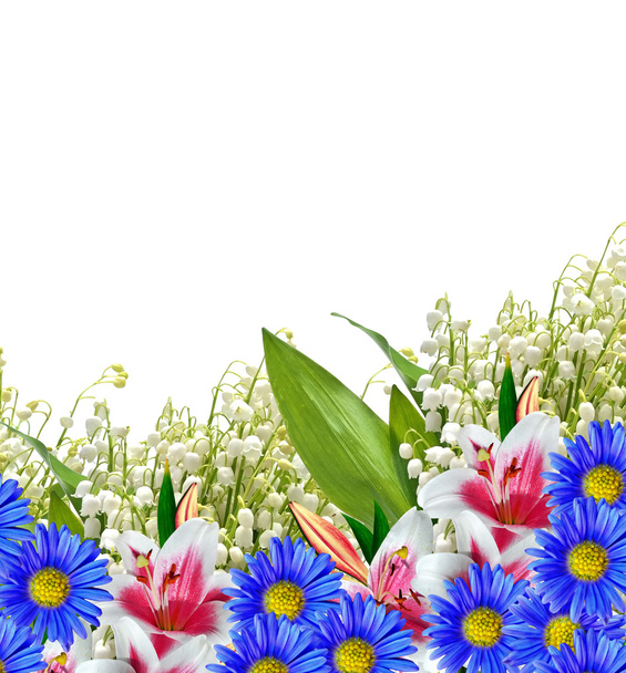 Λουλούδι κρίνο απομονωμένο σε λευκό φόντο.  - Φωτογραφία, εικόνα