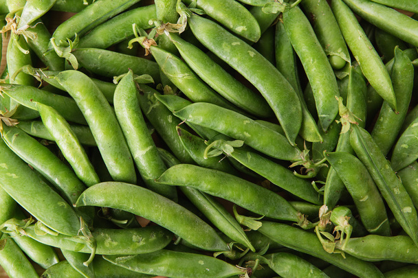 green pods with peas as background. - Zdjęcie, obraz