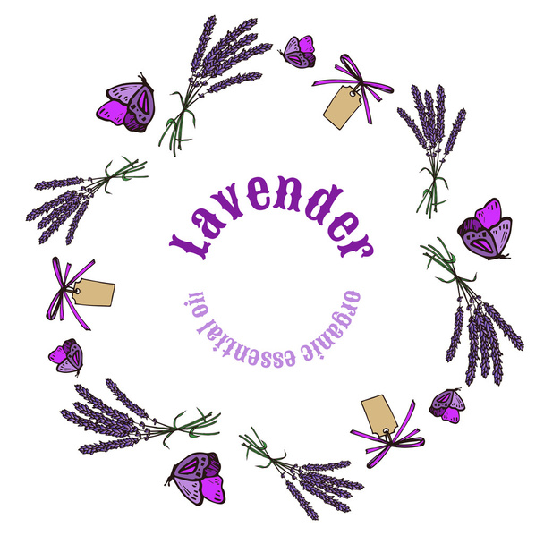 Lavender bouquets frame - Vector, Image