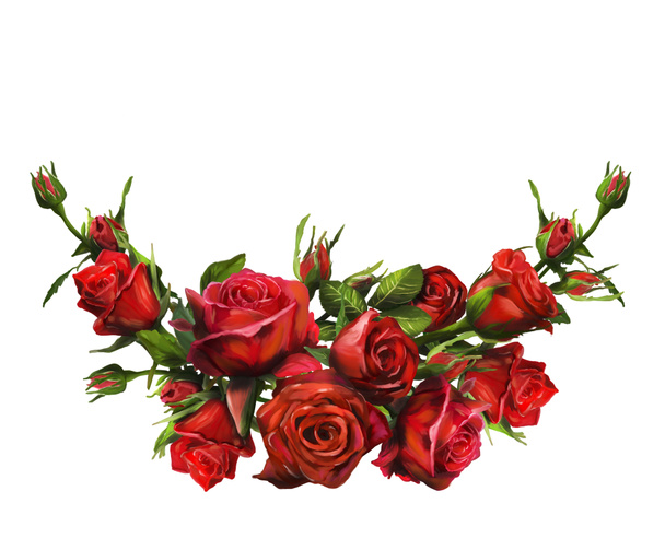 Red roses - Photo, Image