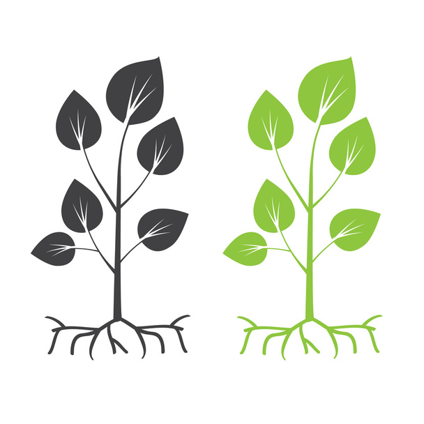 Arbres noirs et racines silhouettes avec feuilles
 - Vecteur, image