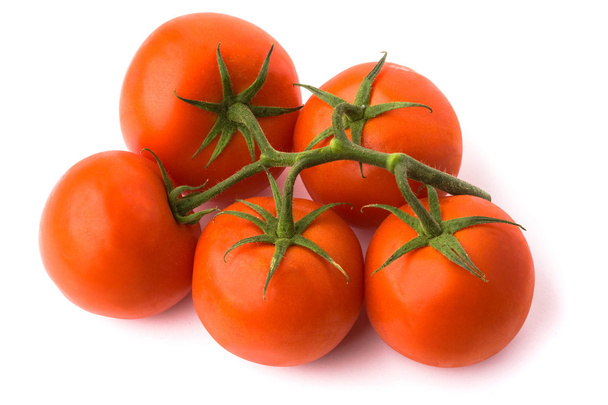 Rama de tomate
 - Foto, imagen