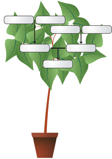 Genealogie plant - Vector, afbeelding