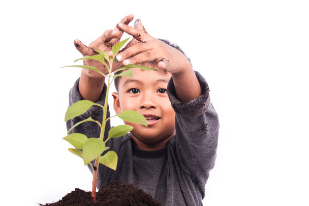Милий маленький хлопчик посадив дерево
 - Фото, зображення