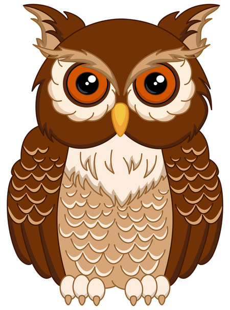 a brown owls sitting - Vector, Image