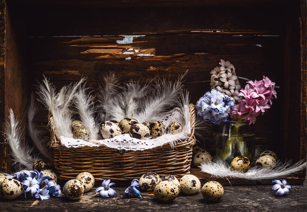 Quail eggs with feathers and hyacinths - 写真・画像