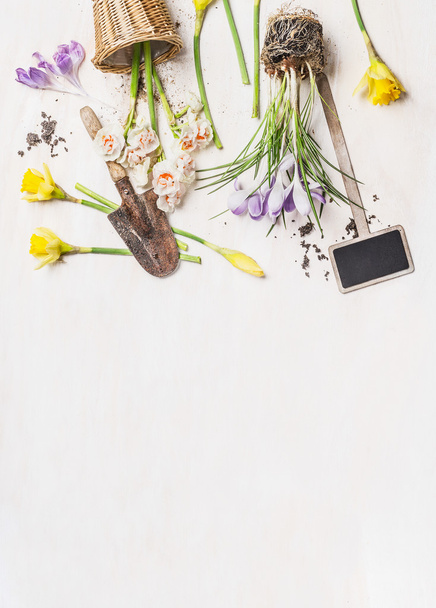 Flowers and gardening tools - Photo, Image
