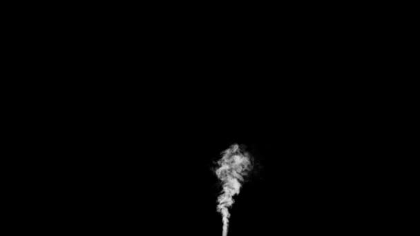 Sopro de névoa de vapor aleatório de baixo um fundo preto
 - Filmagem, Vídeo