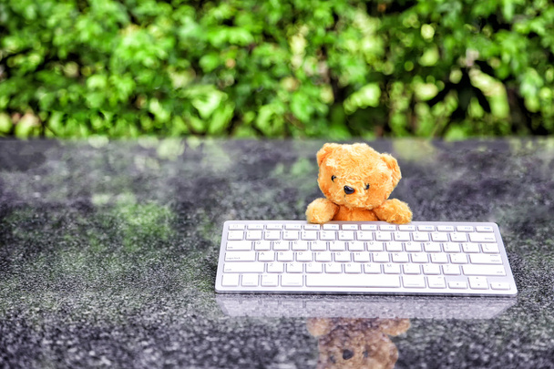 cute teddy bear with a wireless keyboard In the park., internet surfing or computer work concept. - 写真・画像