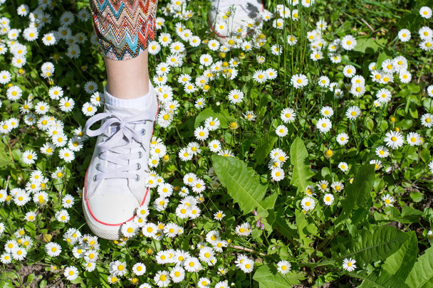 Άσπρα πάνινα παπούτσια σε ένα πεδίο dasiy. γυναίκα που περπατά - Φωτογραφία, εικόνα