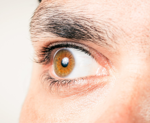Male eye macro shot - Photo, Image