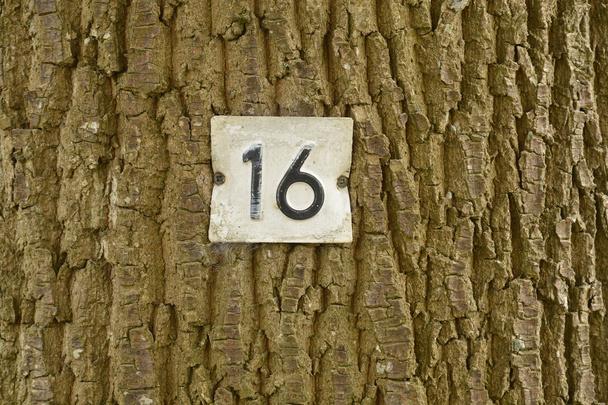 Numéro seize.
 - Photo, image