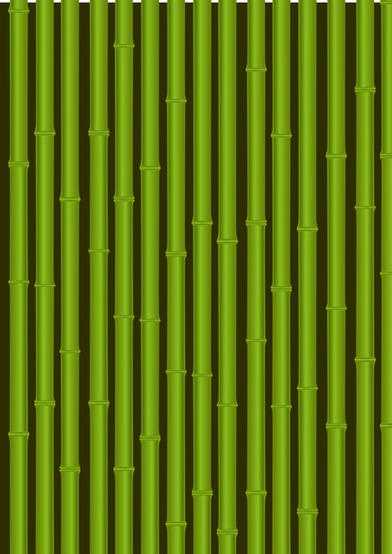 illustrazione vettoriale della foresta di bambù - Foto, immagini