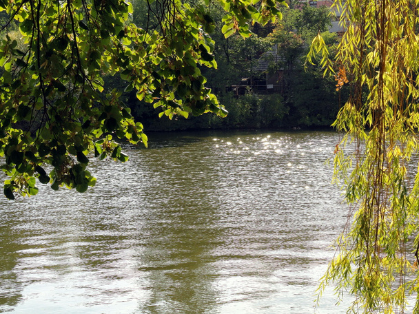 Ландшафт озера Ива, Сады Герастрау, Бухарест, Румыния
 - Фото, изображение