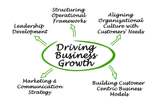 Diagram of Driving Business Growth - Photo, Image