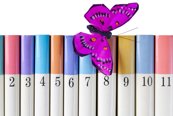 boeken met een zijden vlinder - Foto, afbeelding