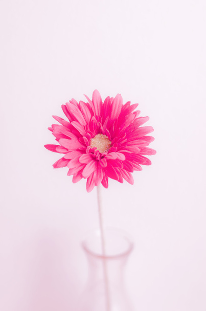 Pastel artificial flower in bottle with vintage color - Foto, Imagen