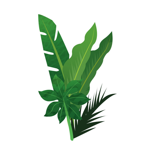 icône de feuilles tropicales
 - Vecteur, image