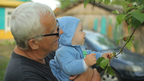 Дедушка показывает внуку яблоню. Красивый ребенок улыбается и трогает растение
 - Кадры, видео